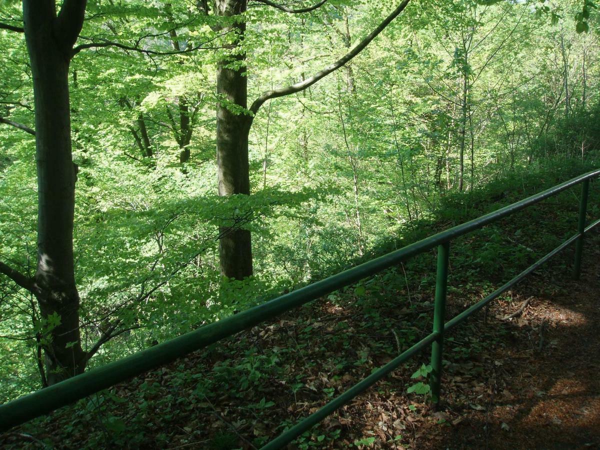 Pension/Bed And Breakfast Pangea Bad Lauterberg Exterior foto